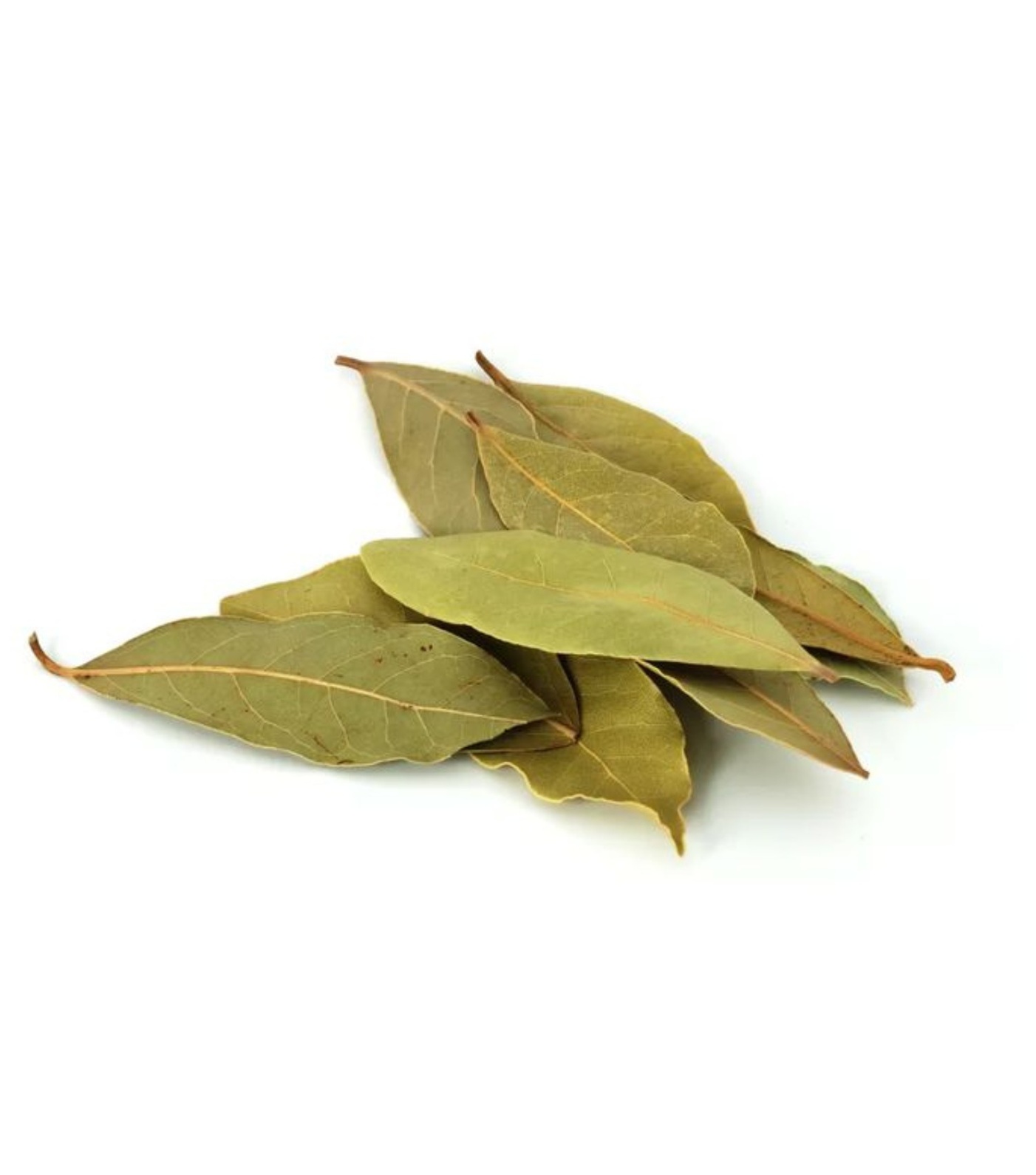 bay_leaf Bayleaf - Image 1