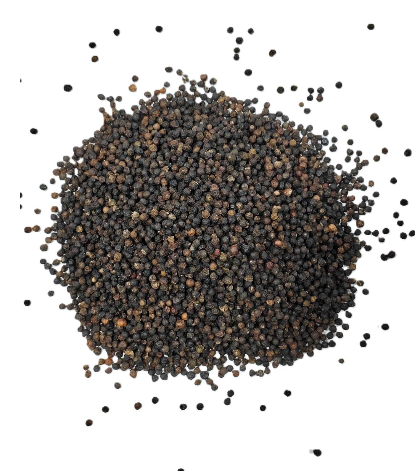 black_pepper Black Pepper - Image 1
